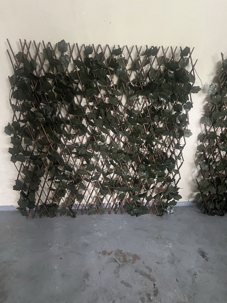 Plantas decorativas extenciveis