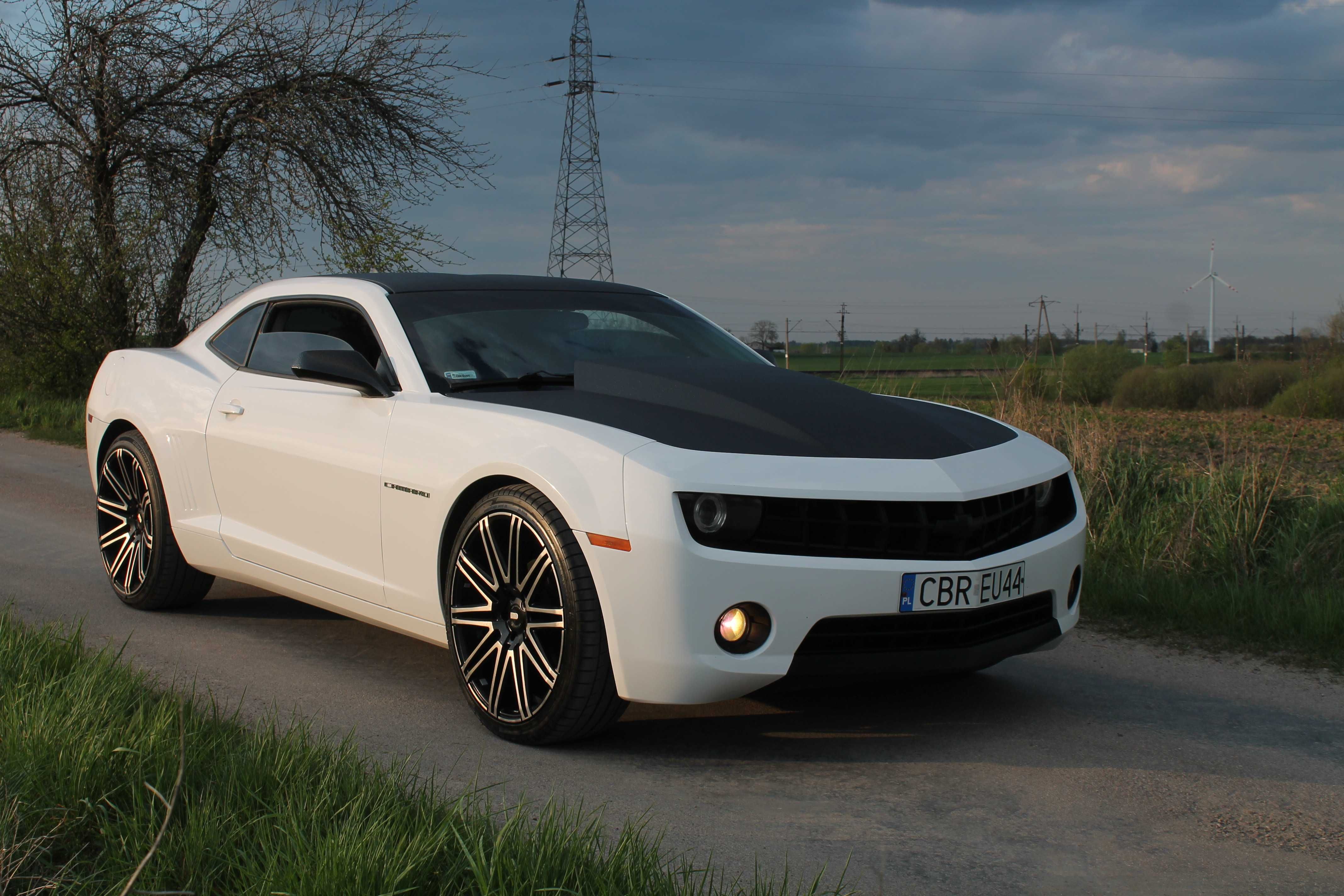 Samochód do ślubu /sesji zdjęciowej/Wynajem samochodu Chevrolet Camaro