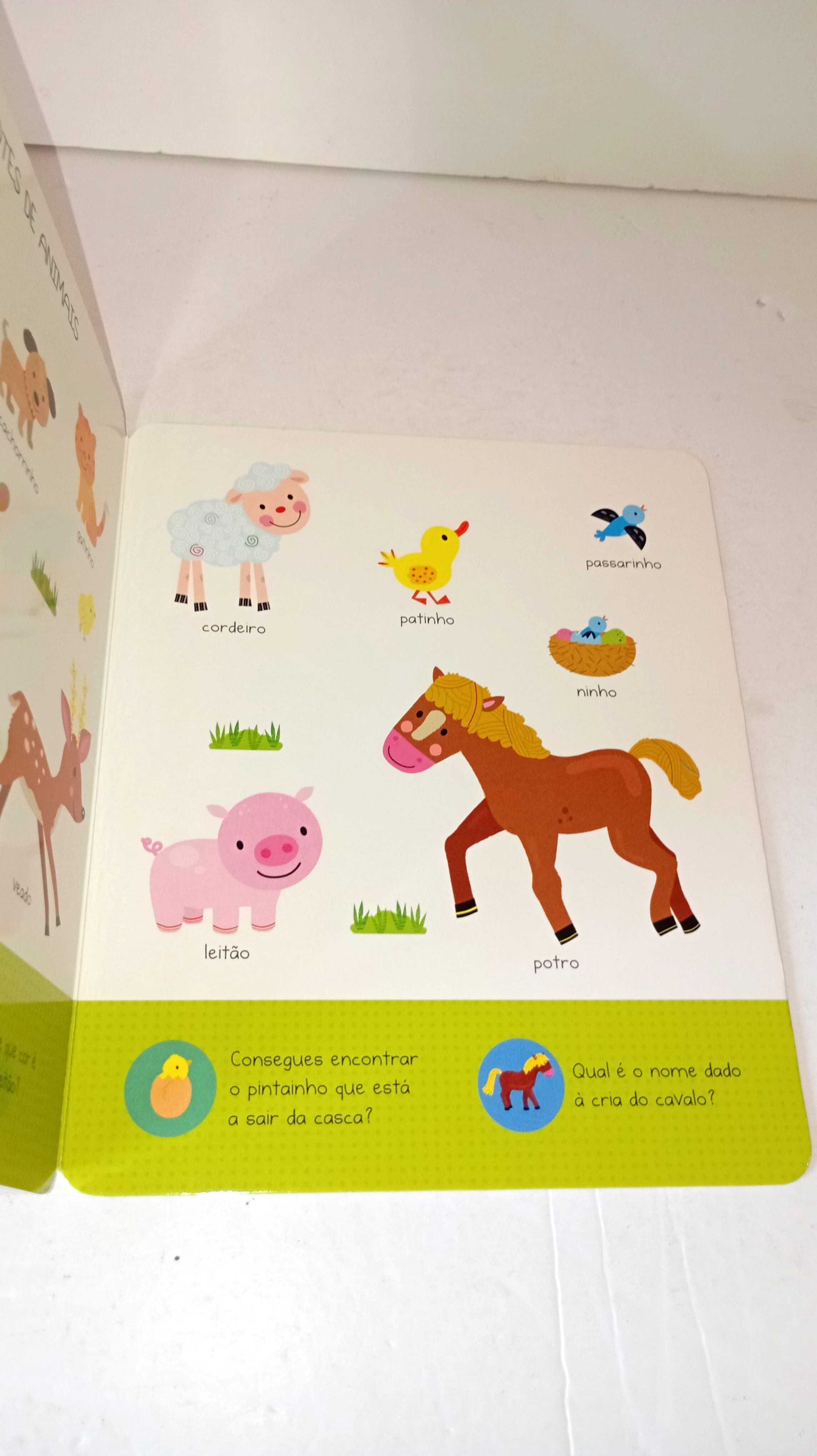 À Descoberta dos Animais