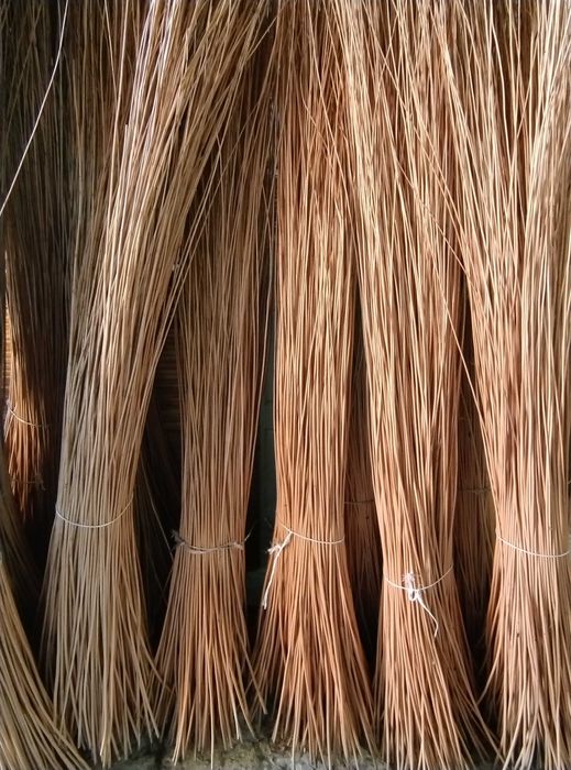 Wiklina korowana 80-240. I klasa, Darmowy dowóz.