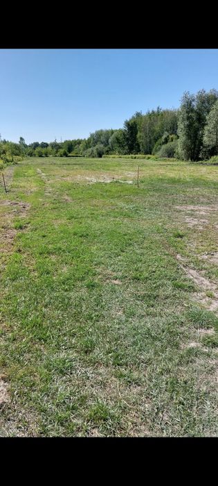 Trzy działki budowlane - Moczydłów