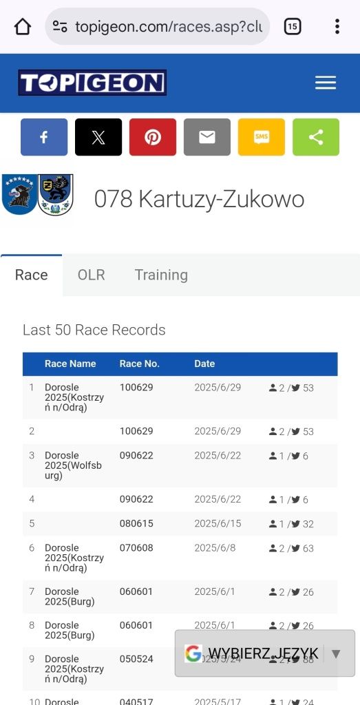Zegar do gołebi - doskonały na młode loty :)