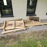 Drewno oddam za darmo