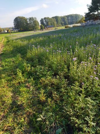 Urokliwa działki letniskowo-budowlane blisko lasu i rzeki