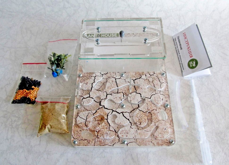 Муравьиная ферма (формикарий) «Anthouse» (пустыня) полный комплект