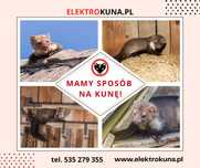 Sprawdzony sposób na kunę I Pastuch elektryczny I Gwarancja I Poznań