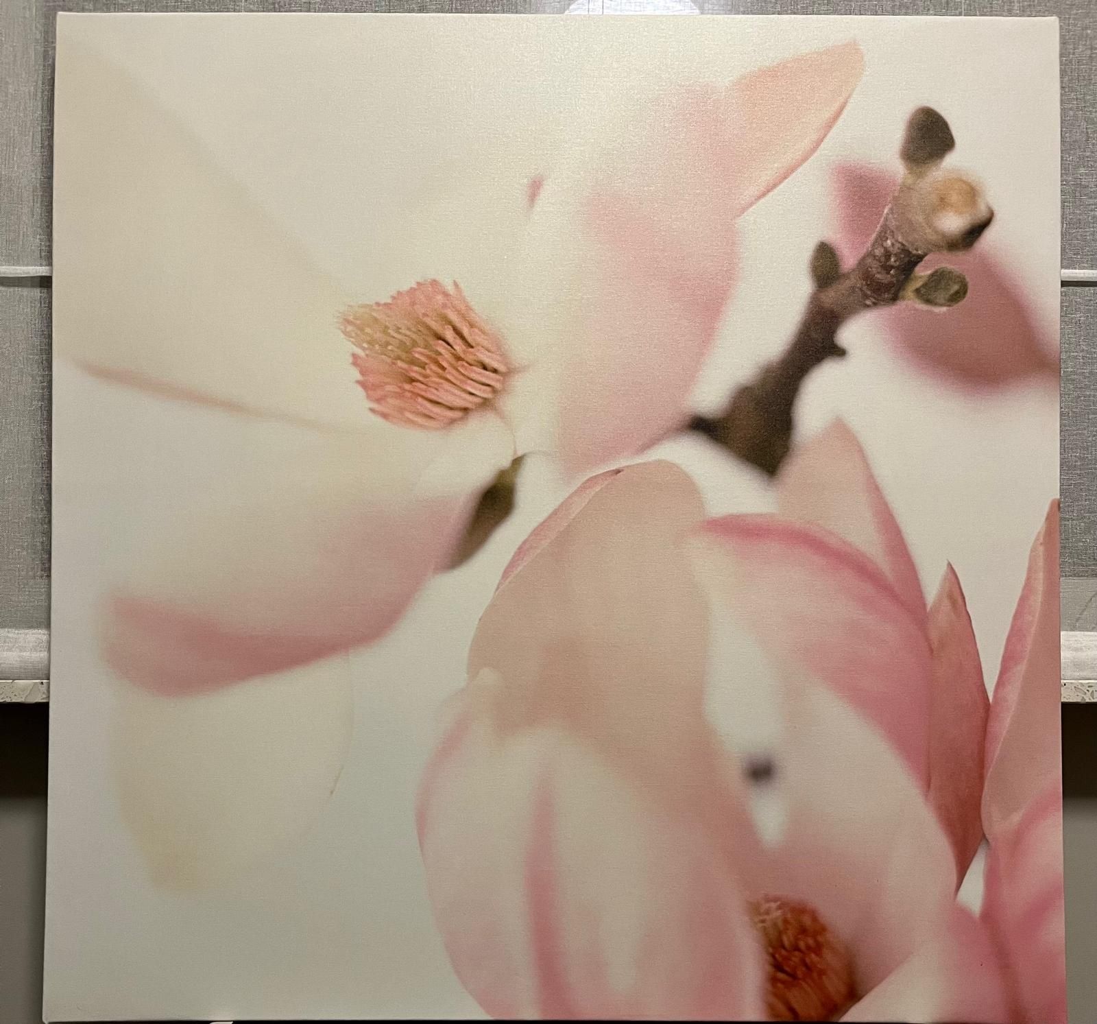 Obraz IKEA 90x90 , Pink Magnolia Patric Johansson 2007