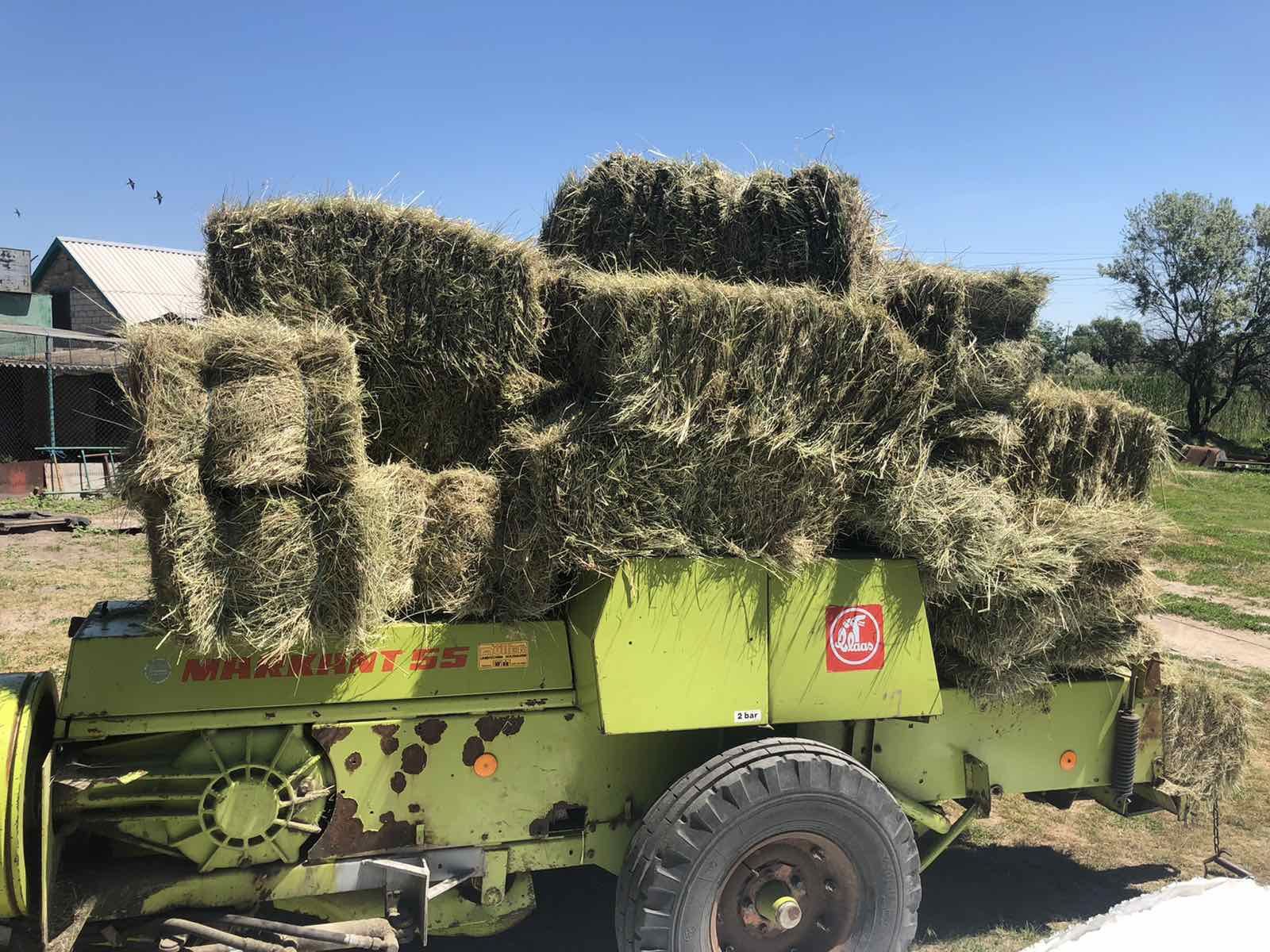 Сіно, Сено  в тюках