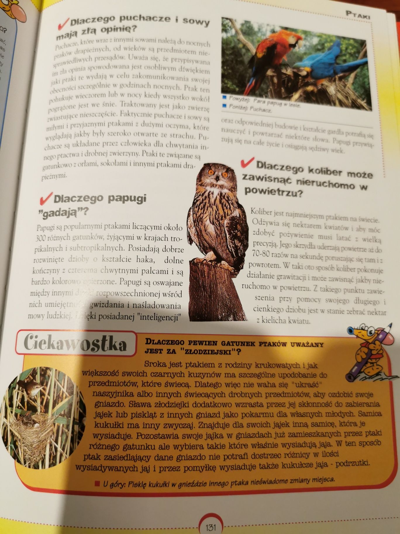 Czy wiesz dlaczego pytania i odpowiedzi