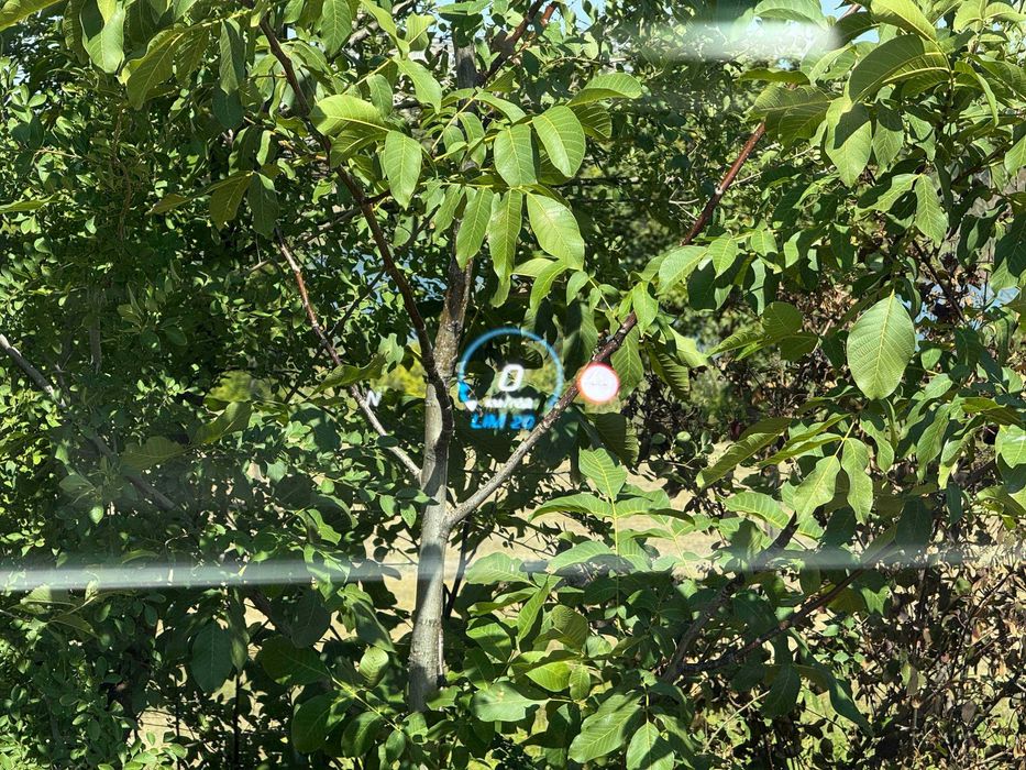 Avtoreal_kr Mercedes-Benz EQC 400 2020