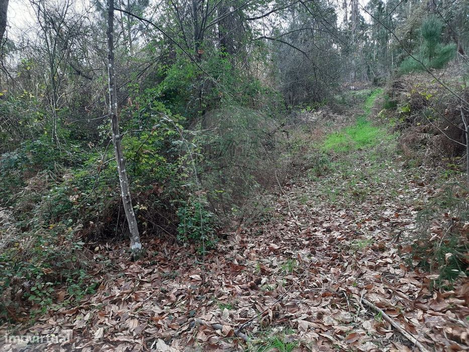 Terreno  para venda