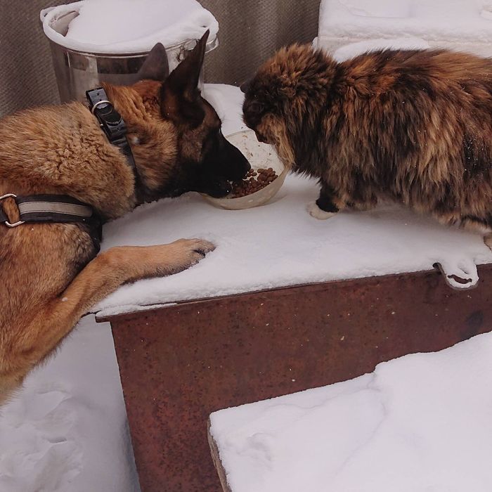 Малинуа кабель для вязки