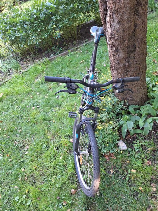 Rower Kellys viper 10