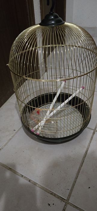 Gaiola para pássaros NOVA