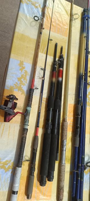 Canas de pesca com carreto