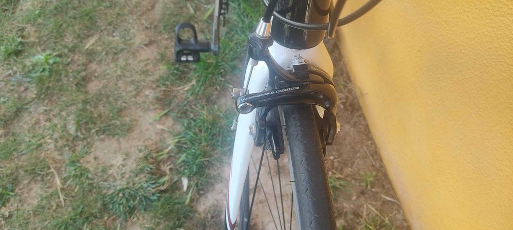 Bicicleta Coluer Monocoque