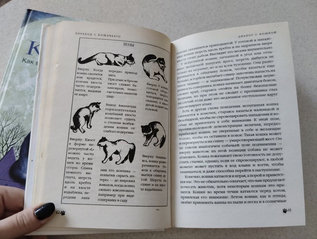 Книги про кішок і котів