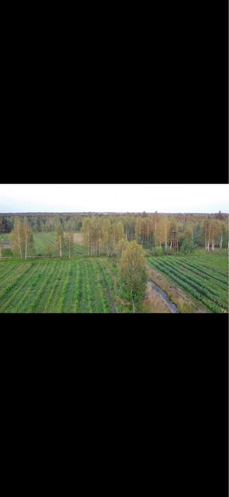 Квадрокоптер F11s PRo