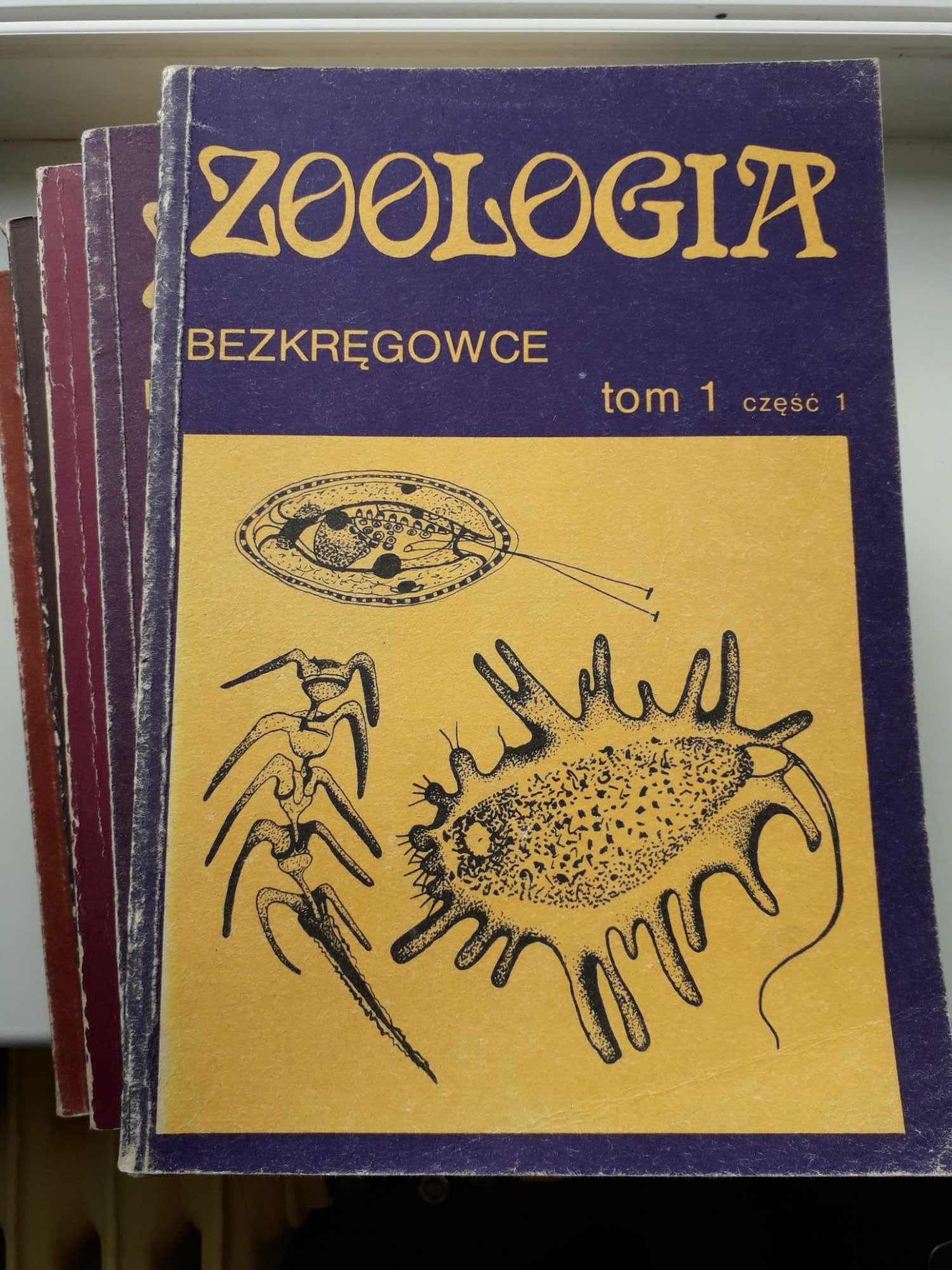 Zoologia bezkręgowce E. Grabda