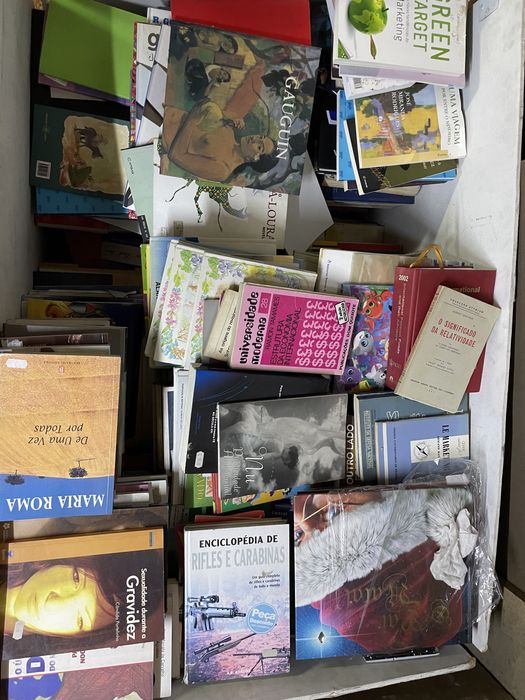 Lote de livros para venda a um preço incrível!