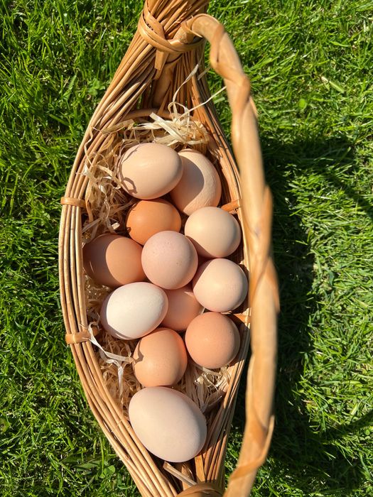 Eko Jaka swojskie z naturalnego howu bez paszy