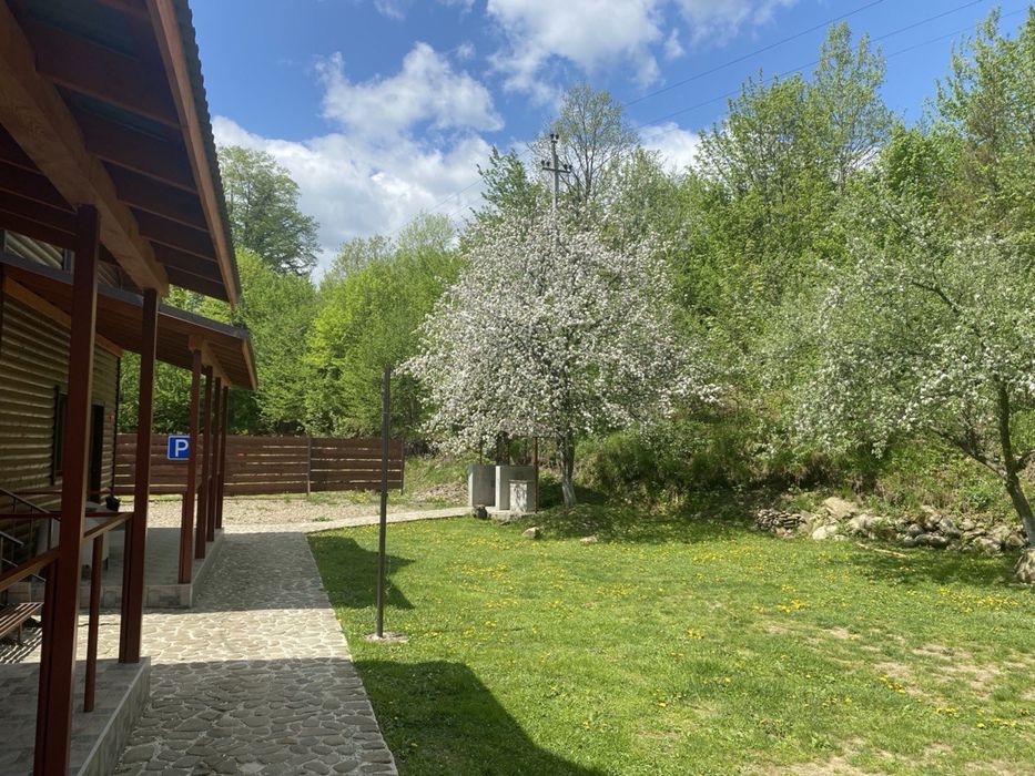 Відпочинок у Карпатах котеджі біля річки та лісу