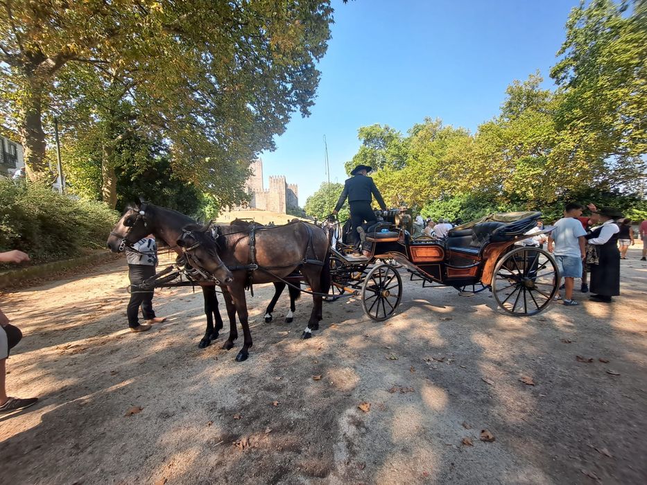 Parelha de cavalos baios