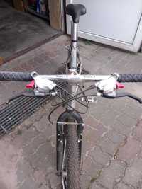 rower crossowy-górski