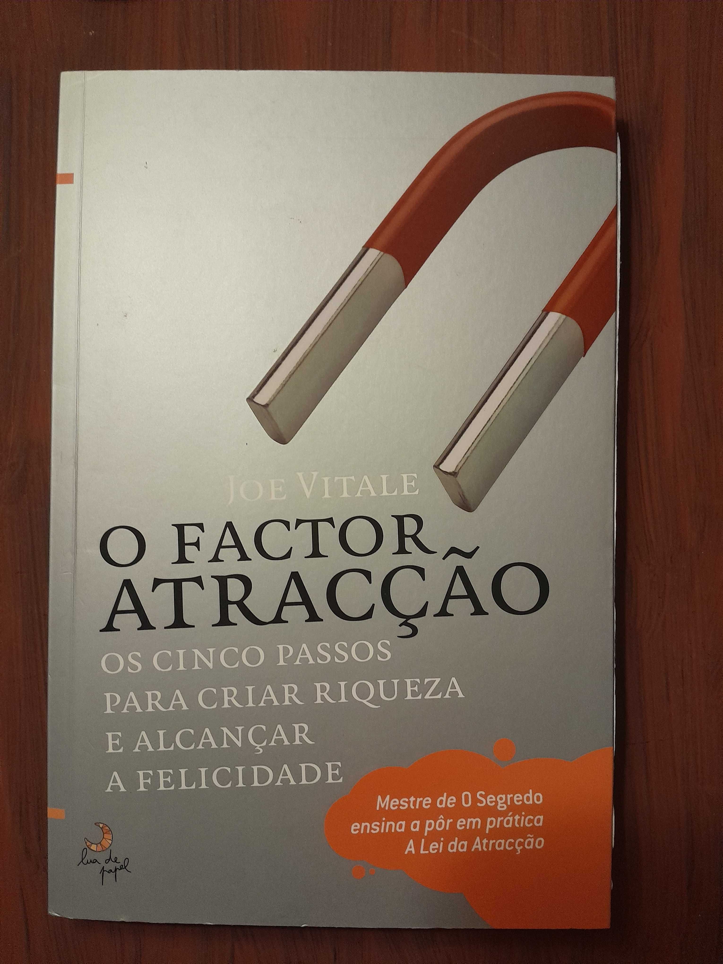 Joe Vitale O Factor Atracção