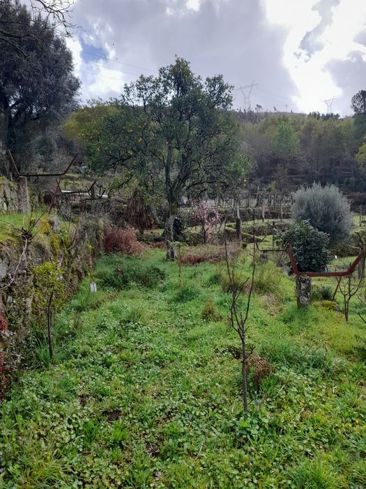Vendono lindas vista 20000 euros