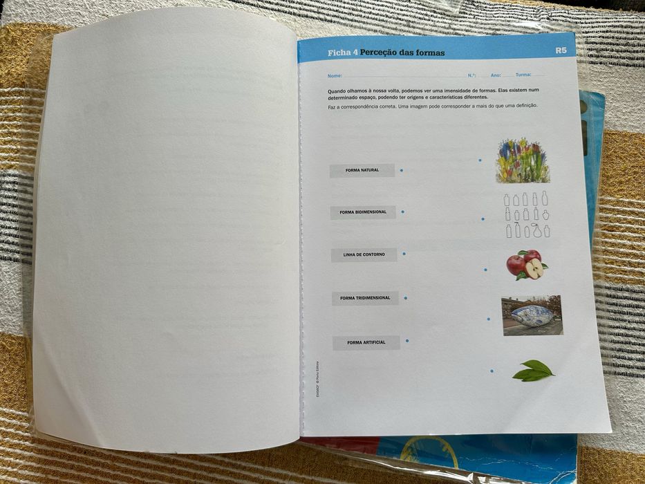 Manual e caderno de fichas Educação visual 5/6 ano