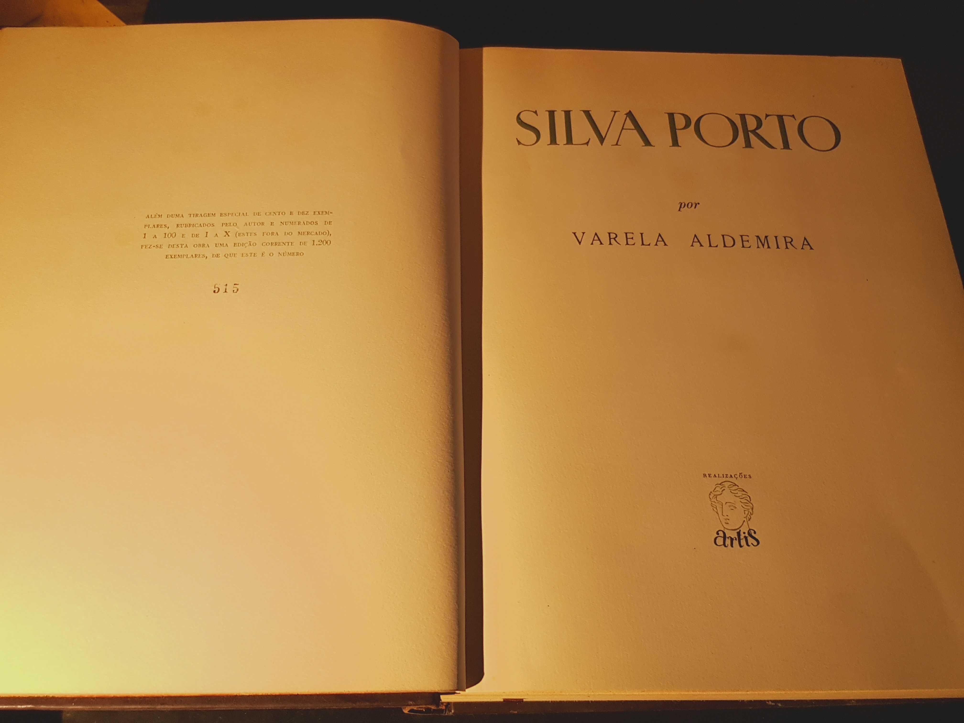 Silva Porto - Valera Aldemira