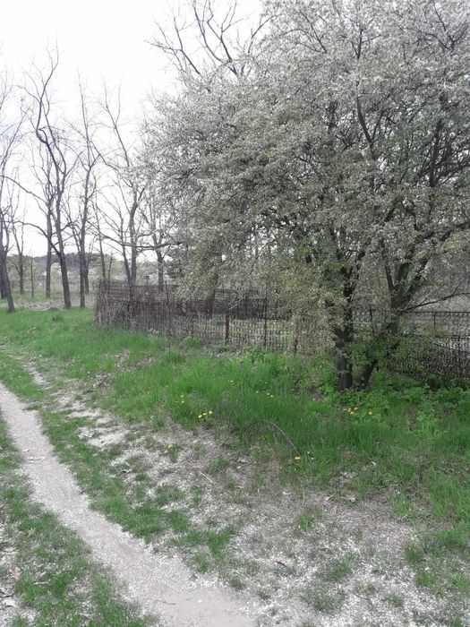 Продаж земельної ділянки 2.4 сотки в кооперативі Дружба (с. Ровжі).