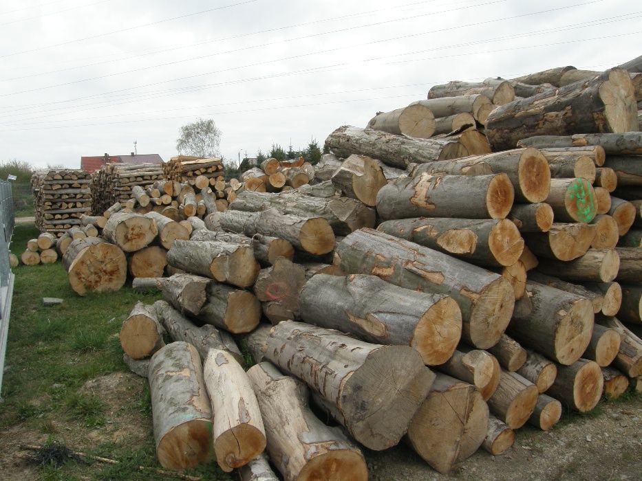 DREWNO kominkowe BUK, GRAB