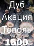Продам Дрова 800 твердых и мягких пород