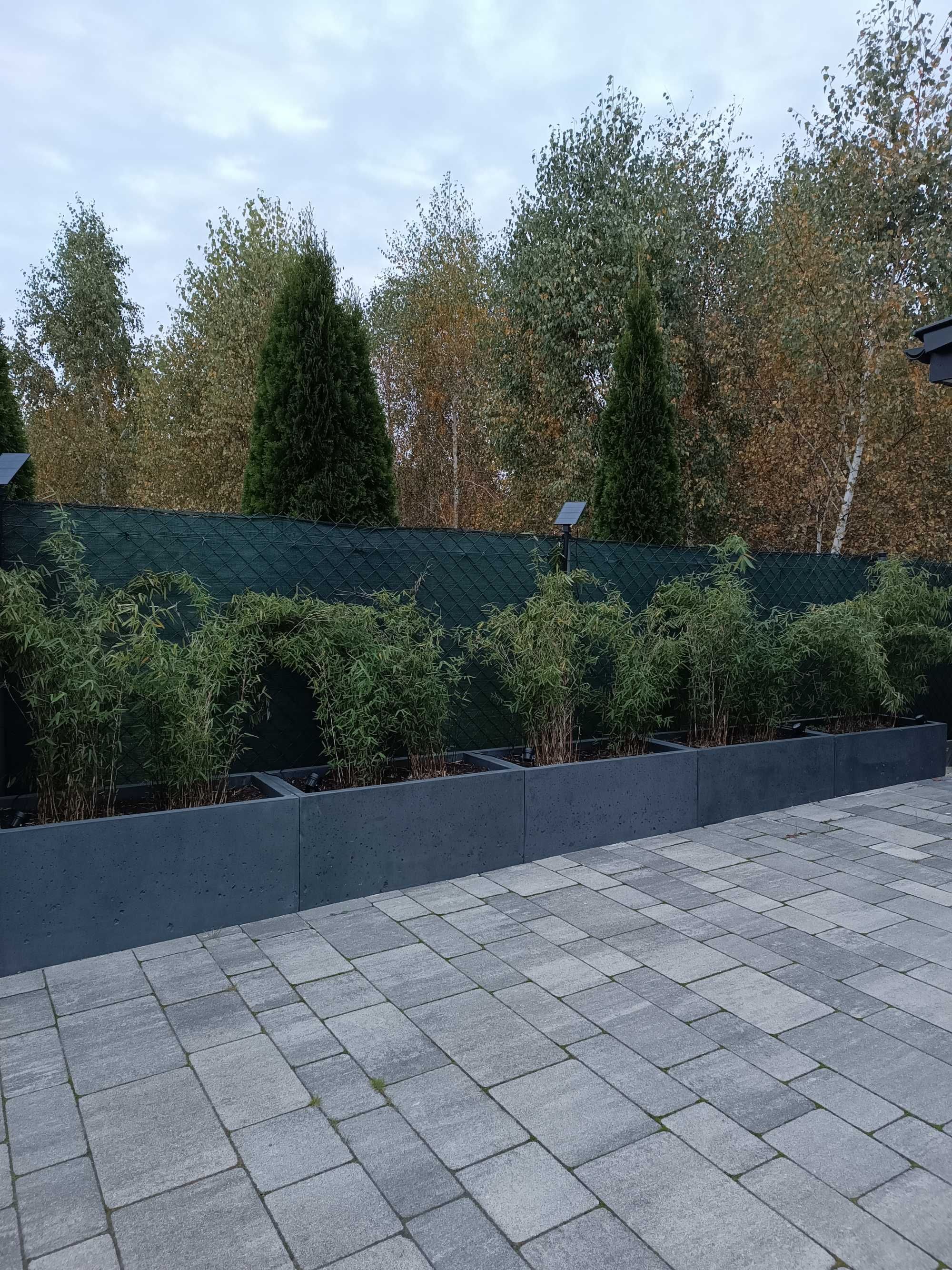 Donica betonowa 100x50x50 cm, beton architektoniczny GRAFIT PRODUCENT!