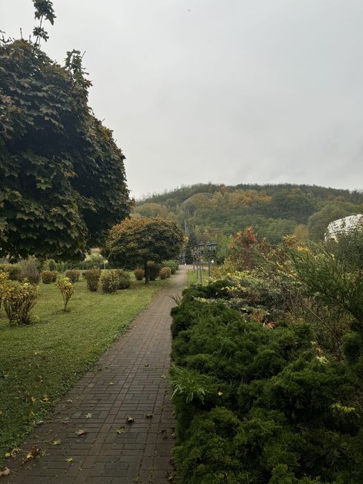 Крытый бассейн! Аренда дом отдыха Киев Сауна, Купель, Бильярд, беседка