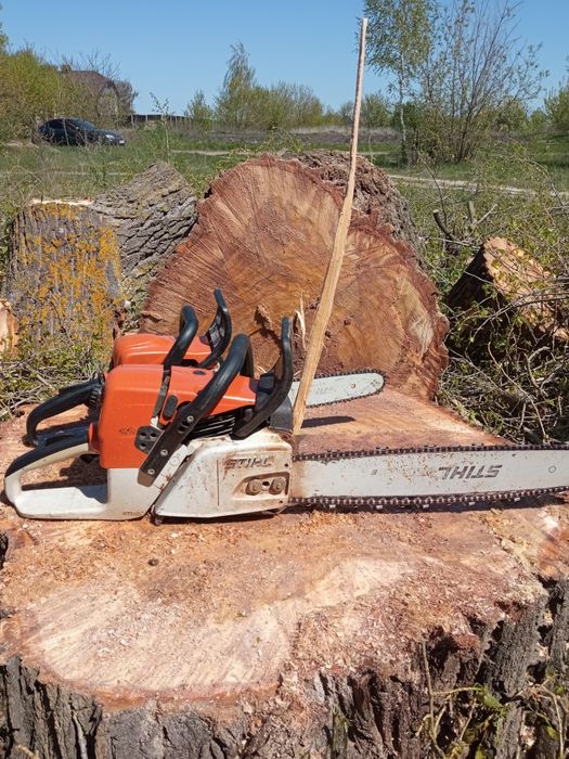 Спил деревьев. Валка деревьев. Удаление деревьев. Спилить дерево.