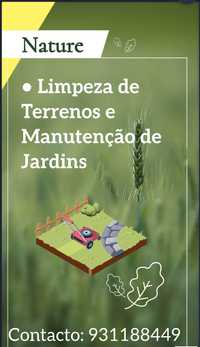 Nature (Jardim & limpeza Terreno)