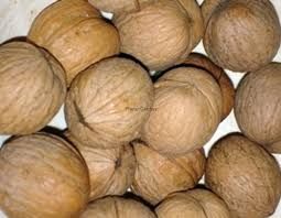 Sprzedam Orzechy włoskie