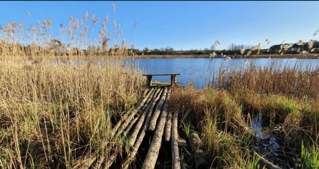 Piękna duża działka budowlana 1.32ha z linią brzegową.