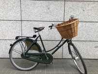 Rower Pashley Princess Sovereign