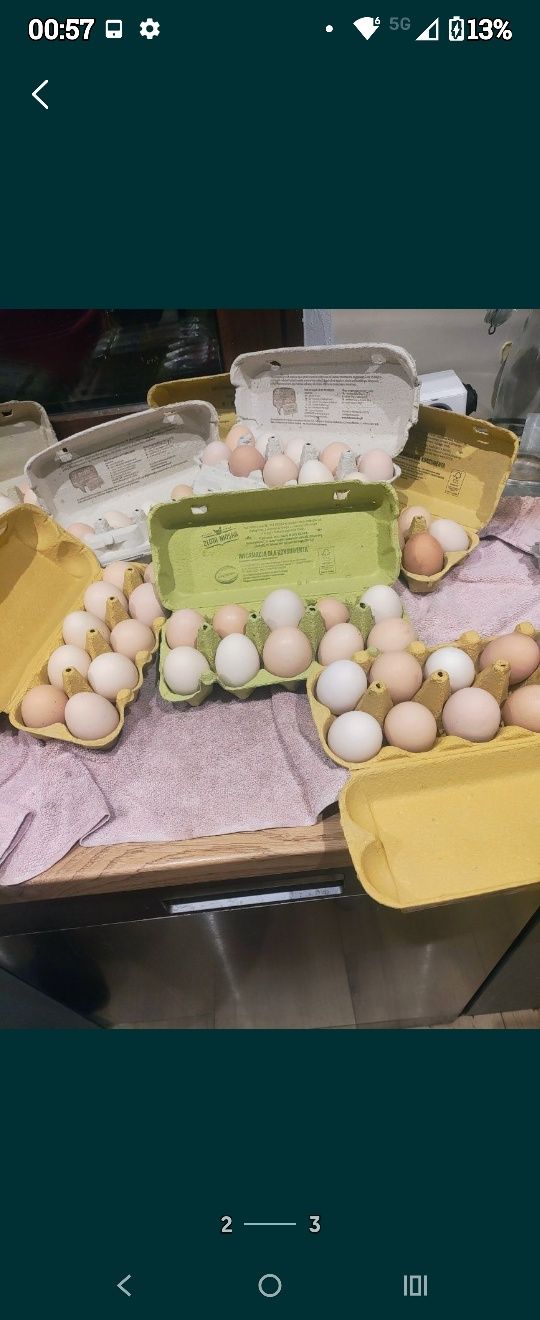 Świeże jajka od kur z wolnego wybiegu – naturalne, wiejskie