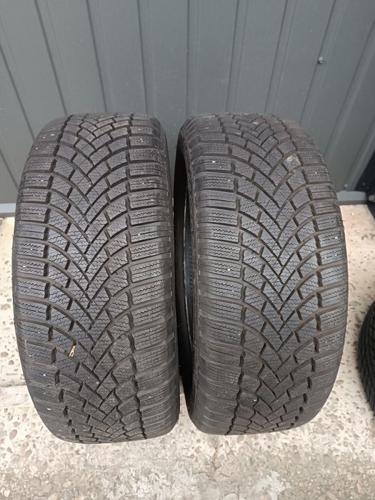 Зимові шини 225/55/17 Bridgestone Bluzzak LM005 2023 пара