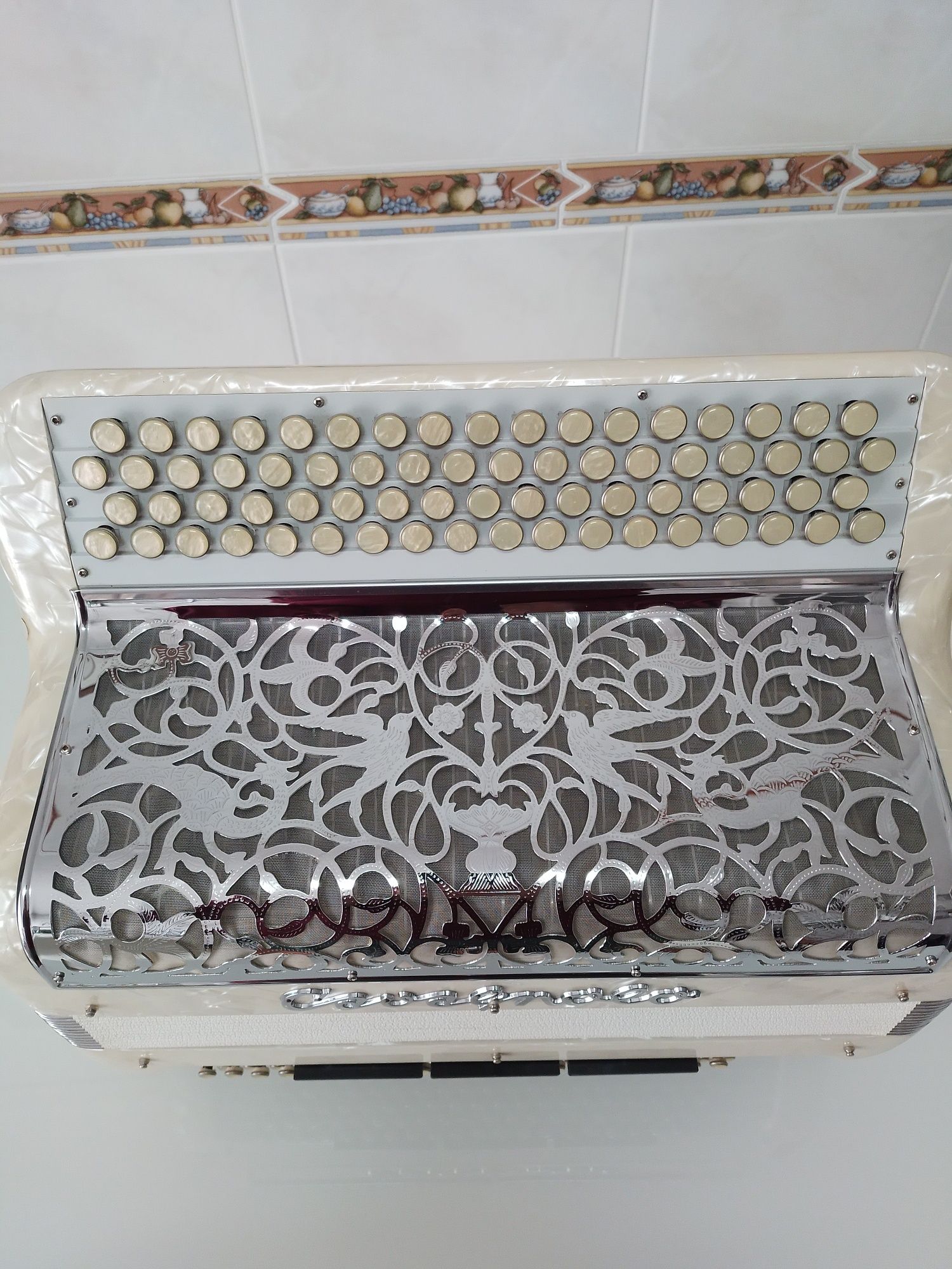 Acordeon/Acordeão  Cavagnolo