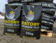 Ekogroszek Batory 26MJ PROMOCJA