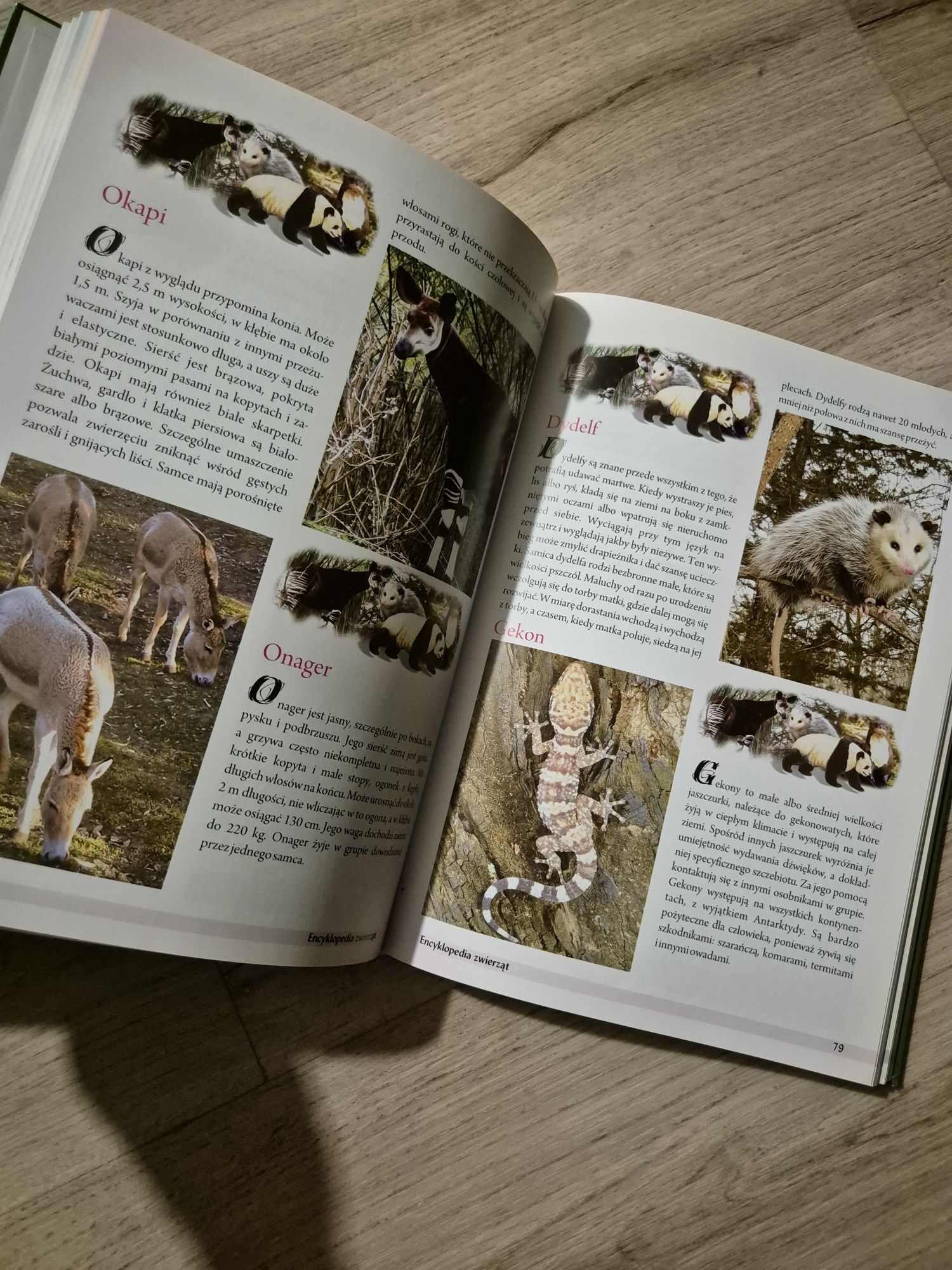 Encyklopedia zwierząt Nowa