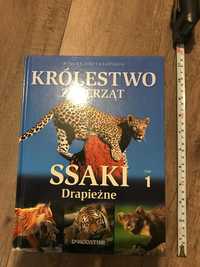 Książka Królestwo Zwierząt SSaki drapieżne Tom 1