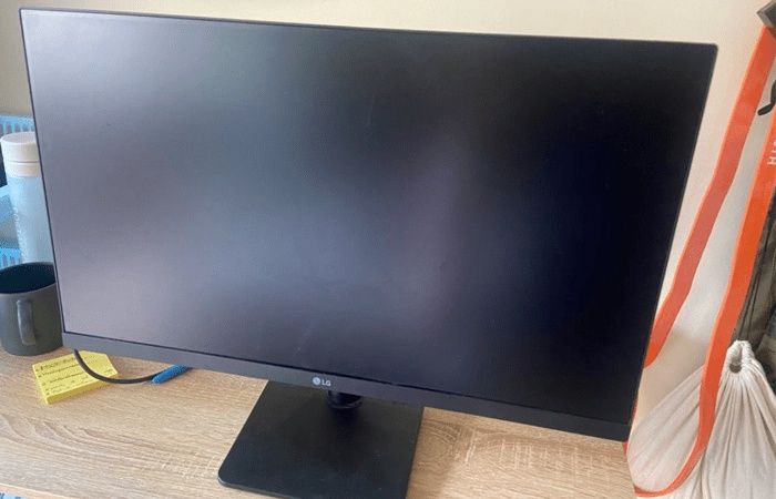 Monitor LG MP400 24" IPS Full HD