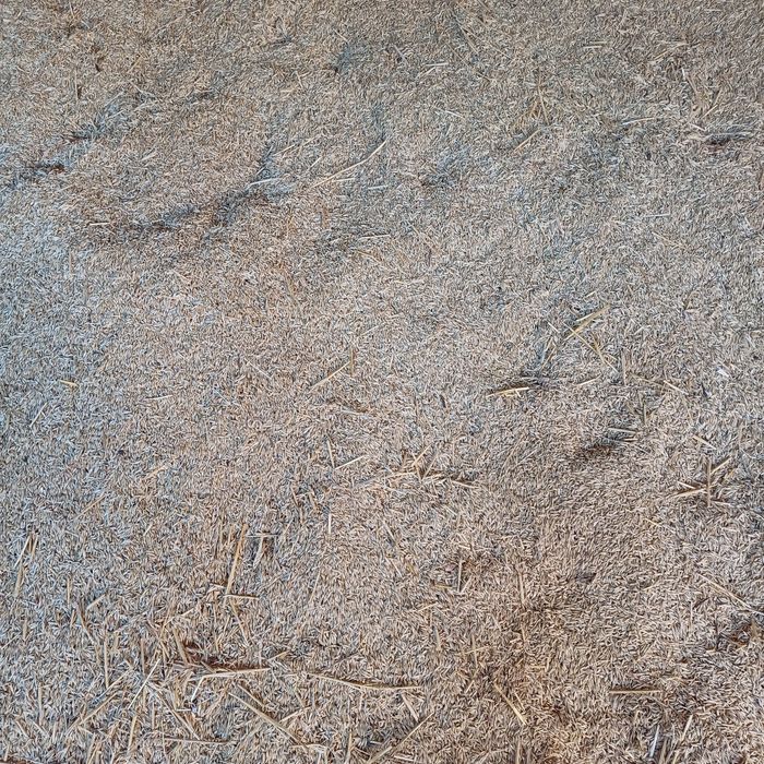 Продаю зерно,пшениця,ячмінь,соняшник.